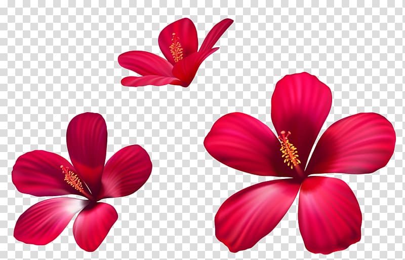 red flower illustration, Pink flowers , Exotic Pink Flowers transparent background PNG clipart