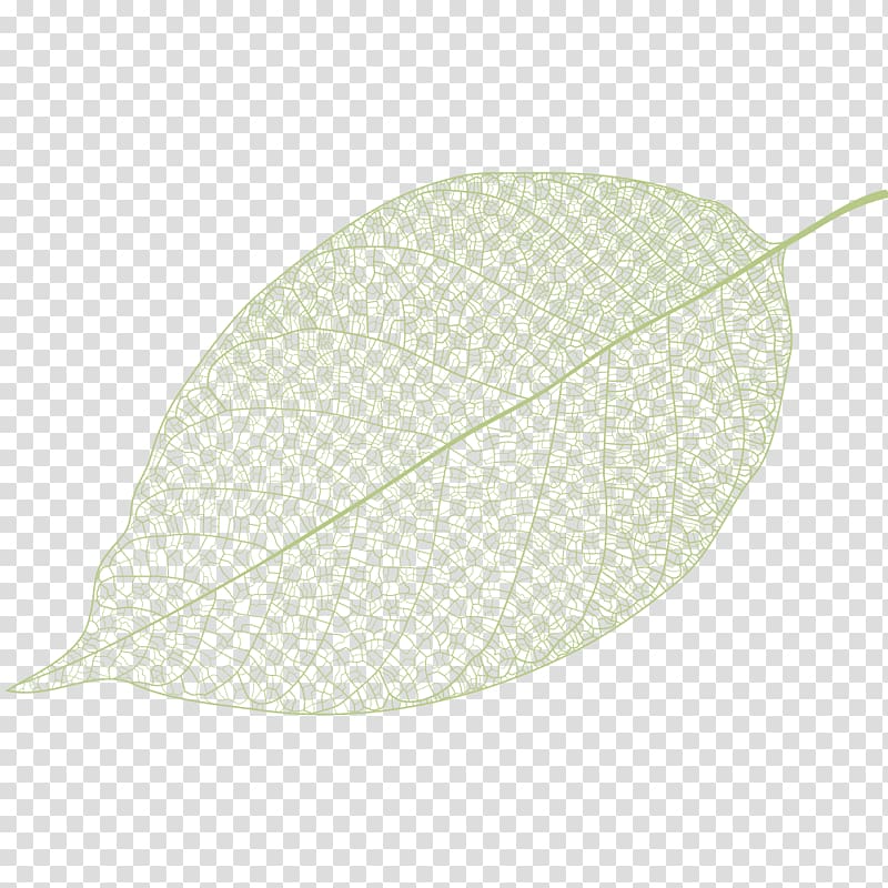 yellow leaf illustration, Leaf Pattern, Leaf veins transparent background PNG clipart