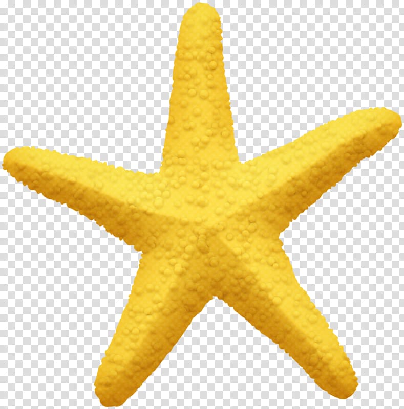 Starfish Pentagram Yellow Five-pointed star, Hand-painted five-pointed star starfish transparent background PNG clipart
