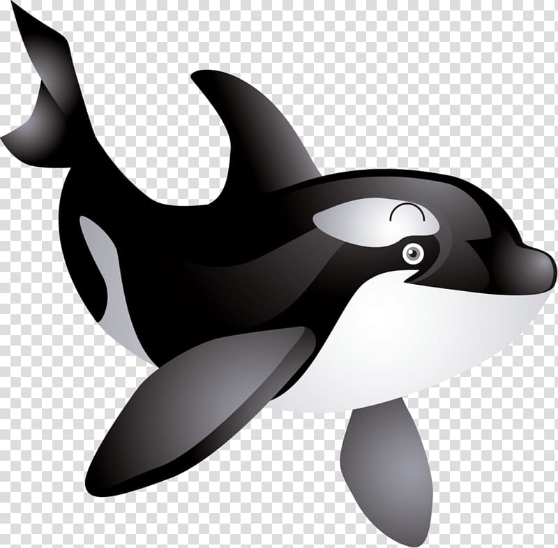 Sperm whale Baby Whale Killer whale , dolphin transparent background PNG clipart