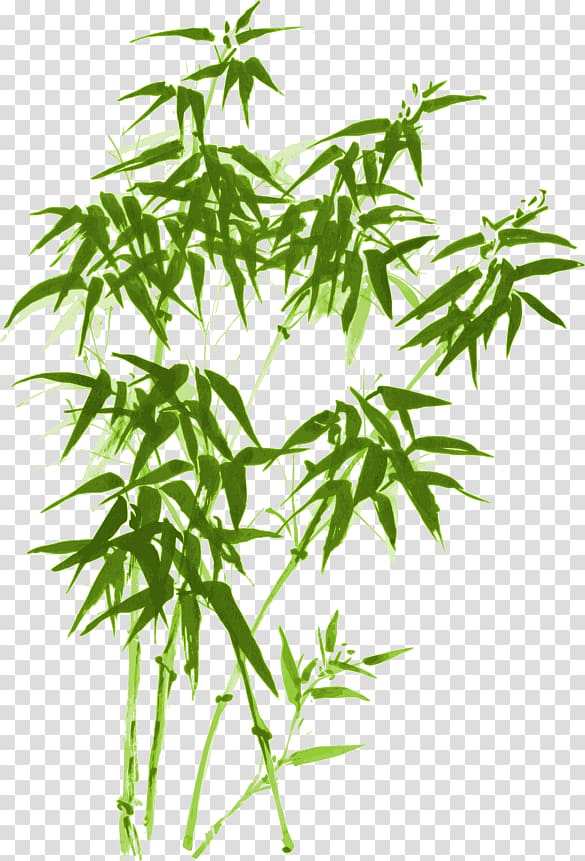 bamboo , Ink wash painting Drawing Bamboo, Green bamboo transparent background PNG clipart