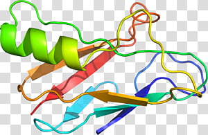 Line Point , line transparent background PNG clipart thumbnail