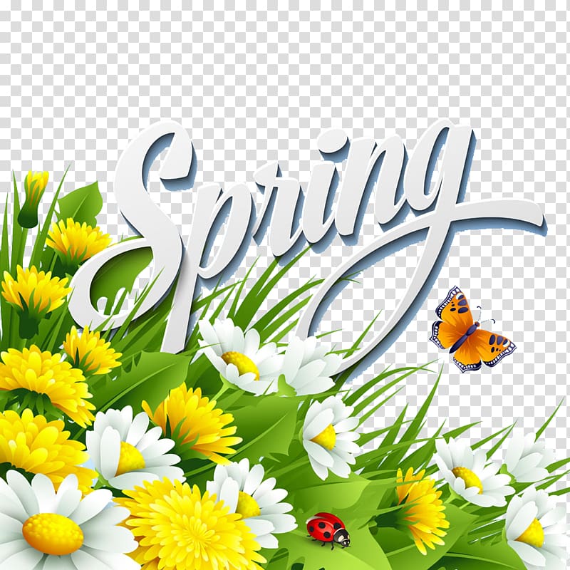 Flower Spring Illustration, Butterfly Daisy transparent background PNG clipart