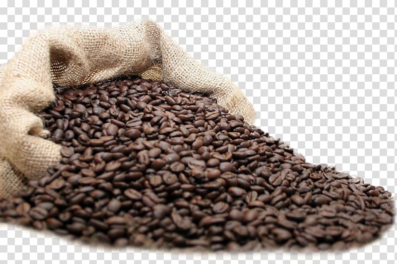 Coffee Tea Fizzy Drinks Latte Cafe, coffee beans transparent background PNG clipart