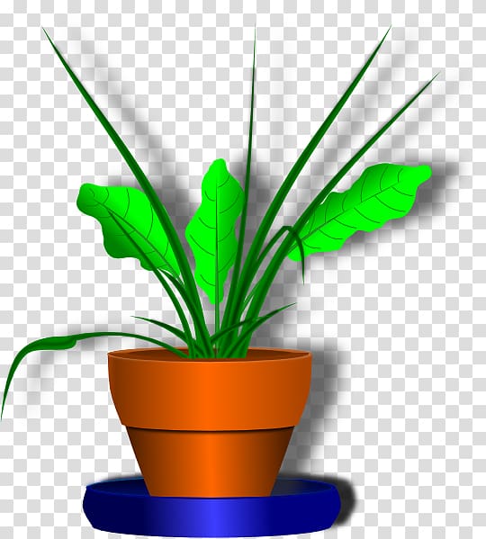 Flowerpot Plant , flower pot transparent background PNG clipart