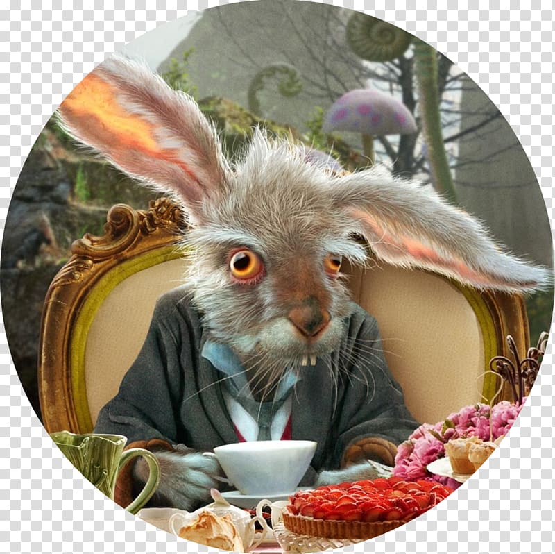 White Rabbit The Mad Hatter Caterpillar Alice\'s Adventures in Wonderland Red Queen, alice in wonderland transparent background PNG clipart
