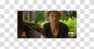 Outerwear Tree, tree transparent background PNG clipart thumbnail