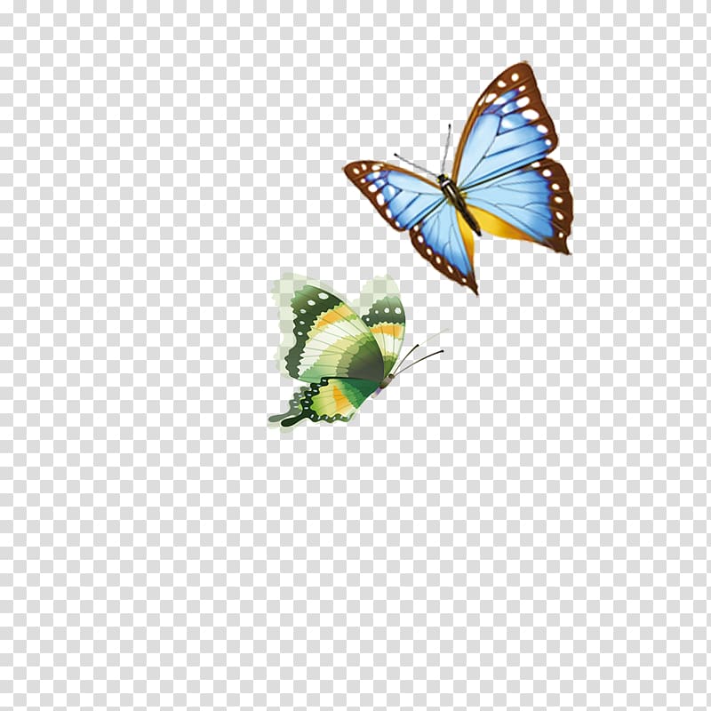 Butterfly, butterfly transparent background PNG clipart