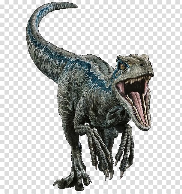 Raptor illustration, Velociraptor Tyrannosaurus Deinonychus Dinosaur Stegosaurus, velociraptor blue transparent background PNG clipart
