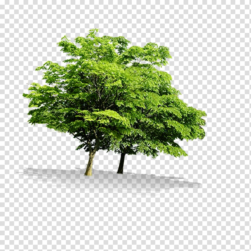 Manhole Waste Resource Material, tree transparent background PNG clipart
