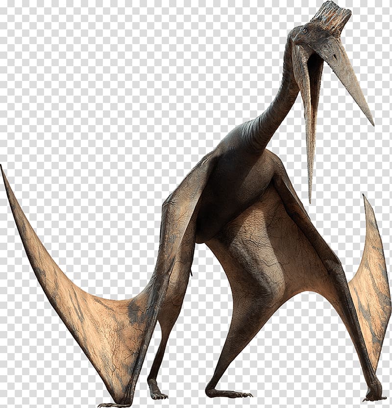 Pterosaurs Quetzalcoatlus Dinosaur Pachyrhinosaurus ARK: Survival Evolved, dinosaur transparent background PNG clipart