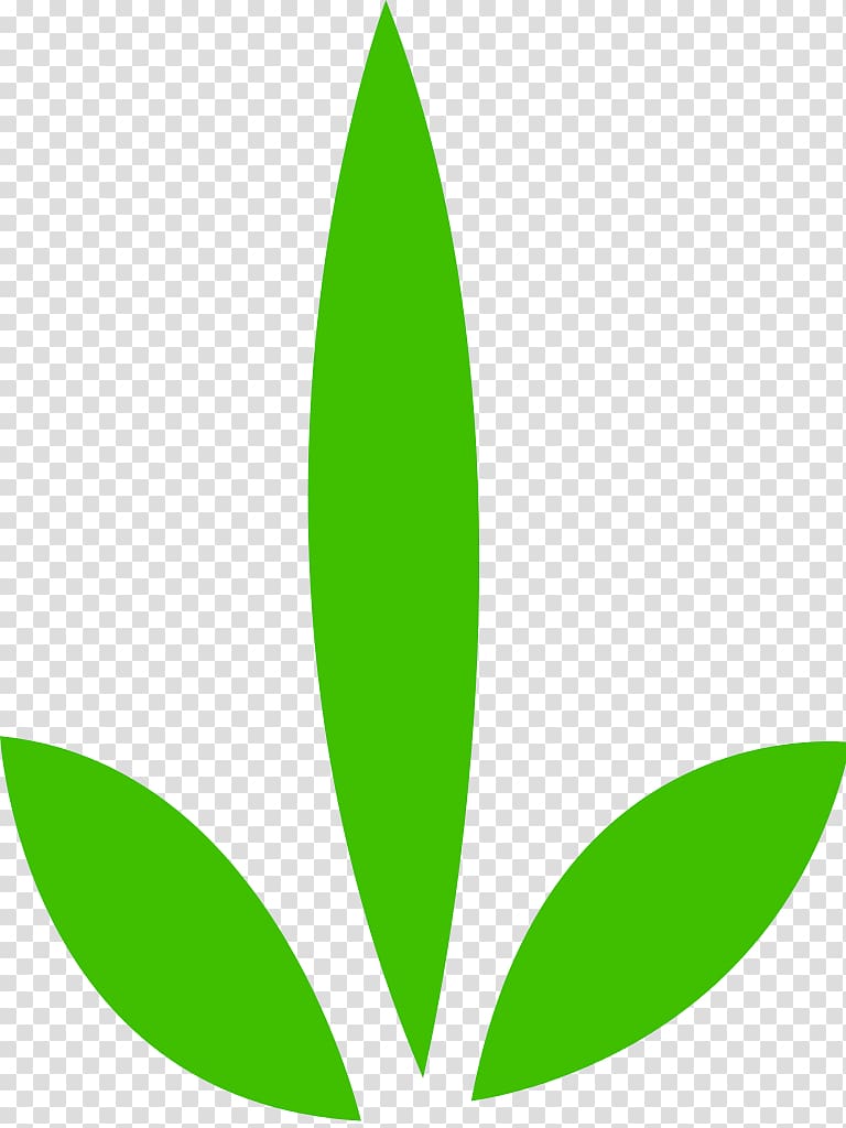 Leaf Plant stem Tree Green, useful transparent background PNG clipart