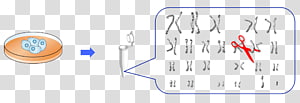 Line Technology Angle, line transparent background PNG clipart thumbnail