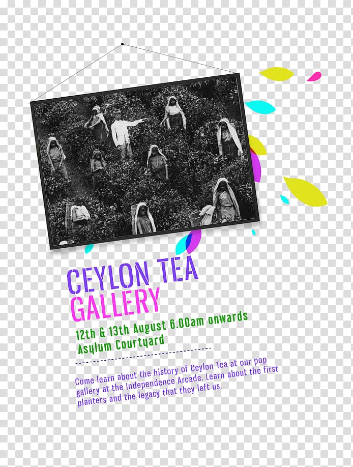 Tea production in Sri Lanka Tea production in Sri Lanka Dominion of Ceylon Festival, tea transparent background PNG clipart
