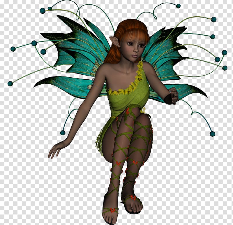 Fairy Wing Insect Butterfly Costume design, tortuga duende transparent background PNG clipart