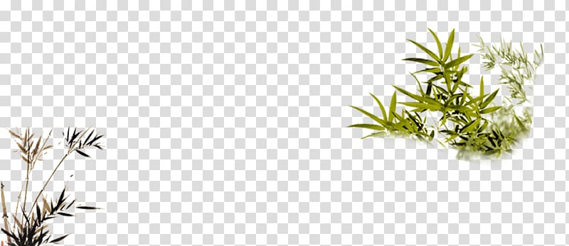 Bamboo Bamboe Chinese painting, bamboo transparent background PNG clipart