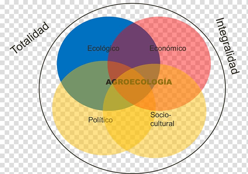 Agroecology Graphic design Social movement, design transparent background PNG clipart
