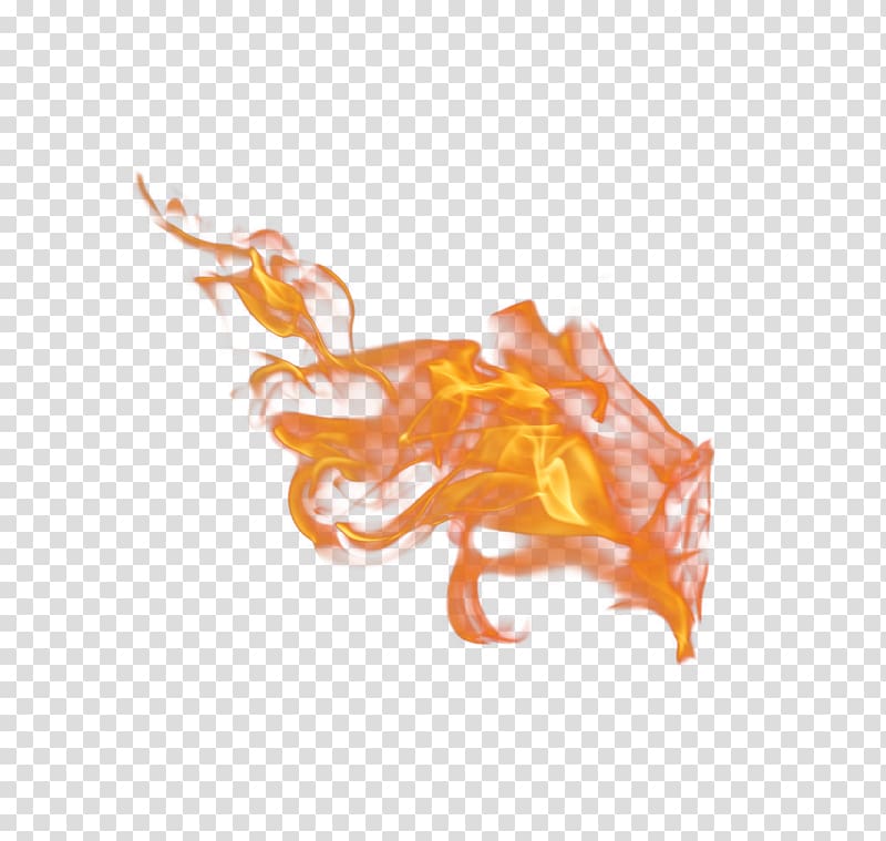 fire illustration, Cool flame Fire Euclidean , flame transparent background PNG clipart