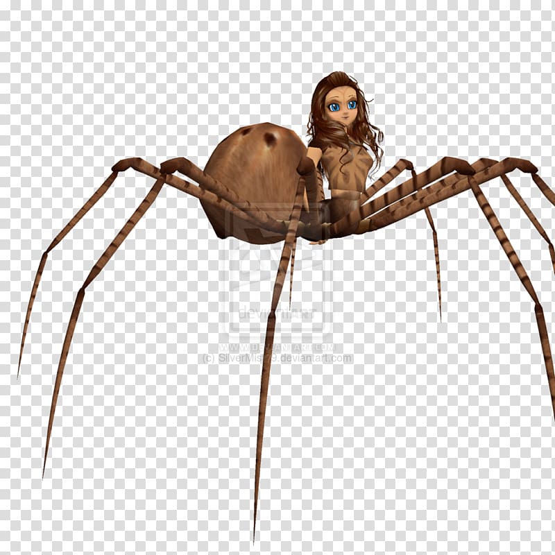 Angulate orbweavers Video game development Widow spiders, Wolf Spider transparent background PNG clipart