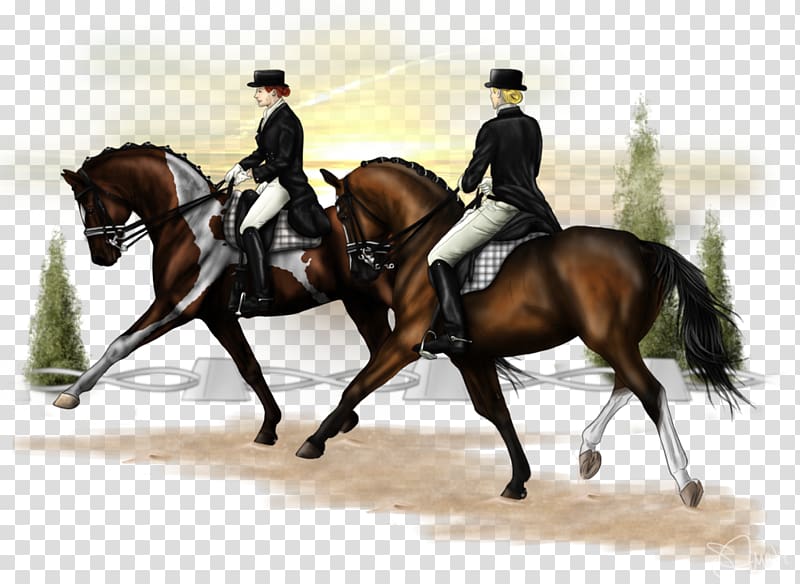 Hunt seat Dressage Equestrian Horse Bridle, pas de deux transparent background PNG clipart
