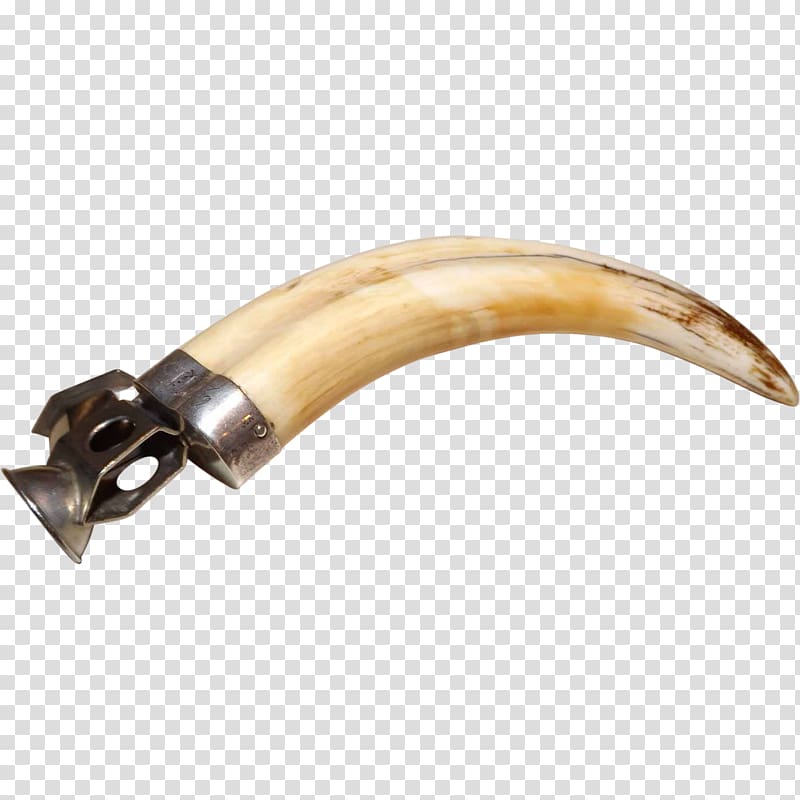 Wild boar Cigar cutter Antique Tusk, cigar transparent background PNG clipart