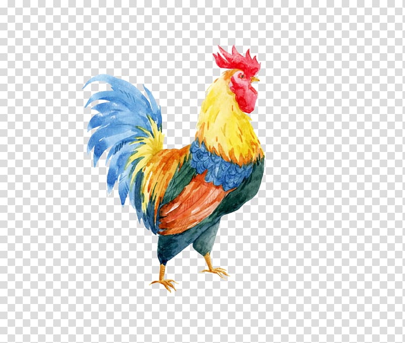 yellow and green rooster painting, Rooster Watercolor painting Drawing Illustration, Hand painted chicken transparent background PNG clipart