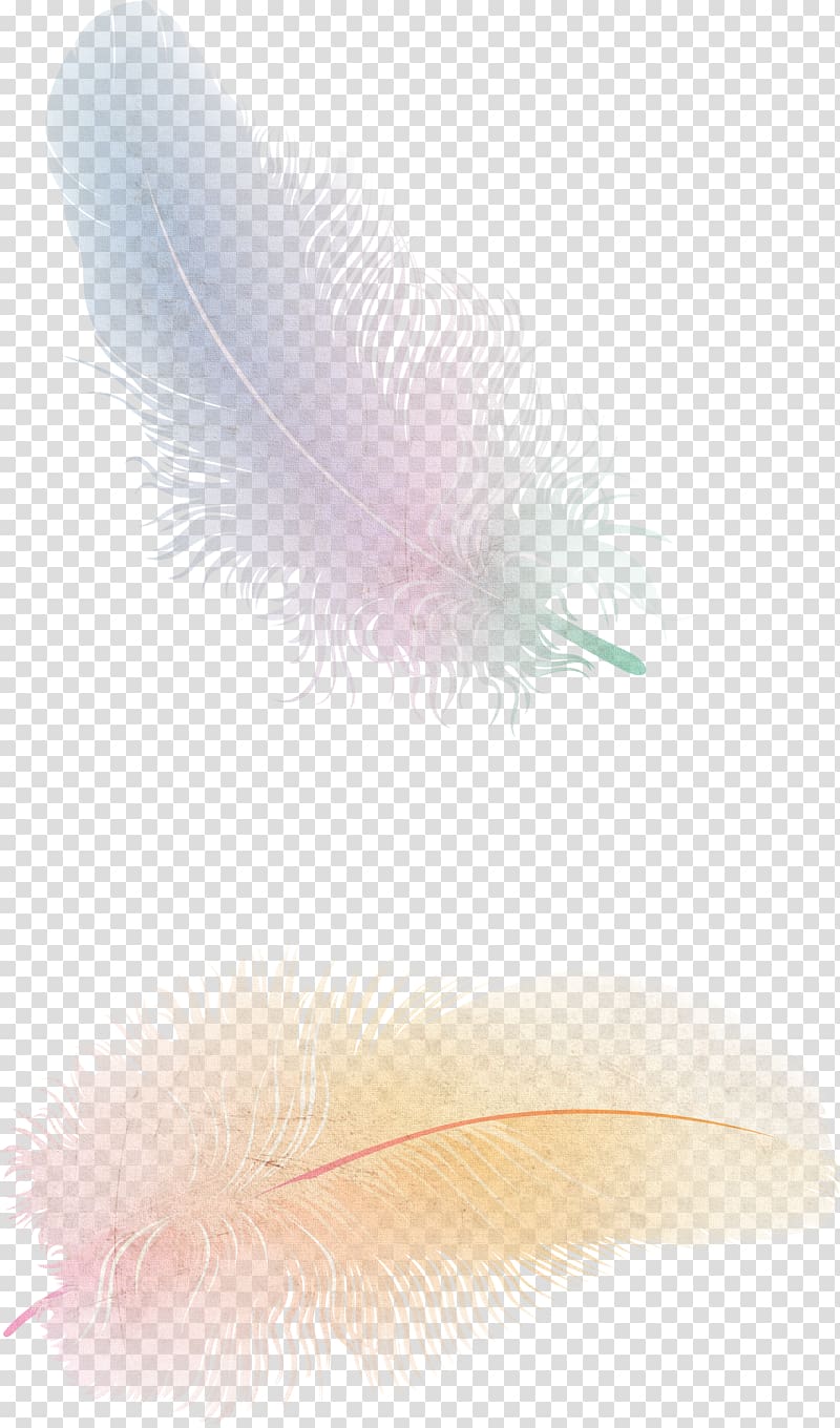 The Floating Feather Flight Bird, Feather , two pink and yellow feathers transparent background PNG clipart