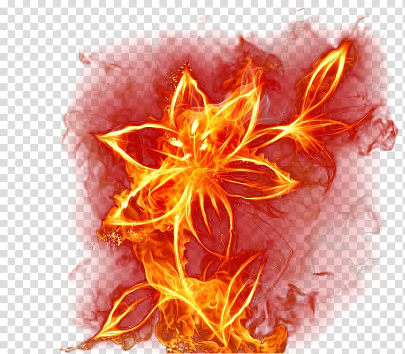 Flame live Fire 3 Colors , Creative flame flowers transparent background PNG clipart