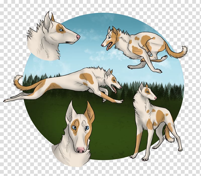 Whippet Dog breed Fauna 08626, whiteout transparent background PNG clipart