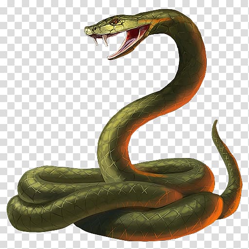 green snake illustration, Snake King cobra, Snake transparent background PNG clipart