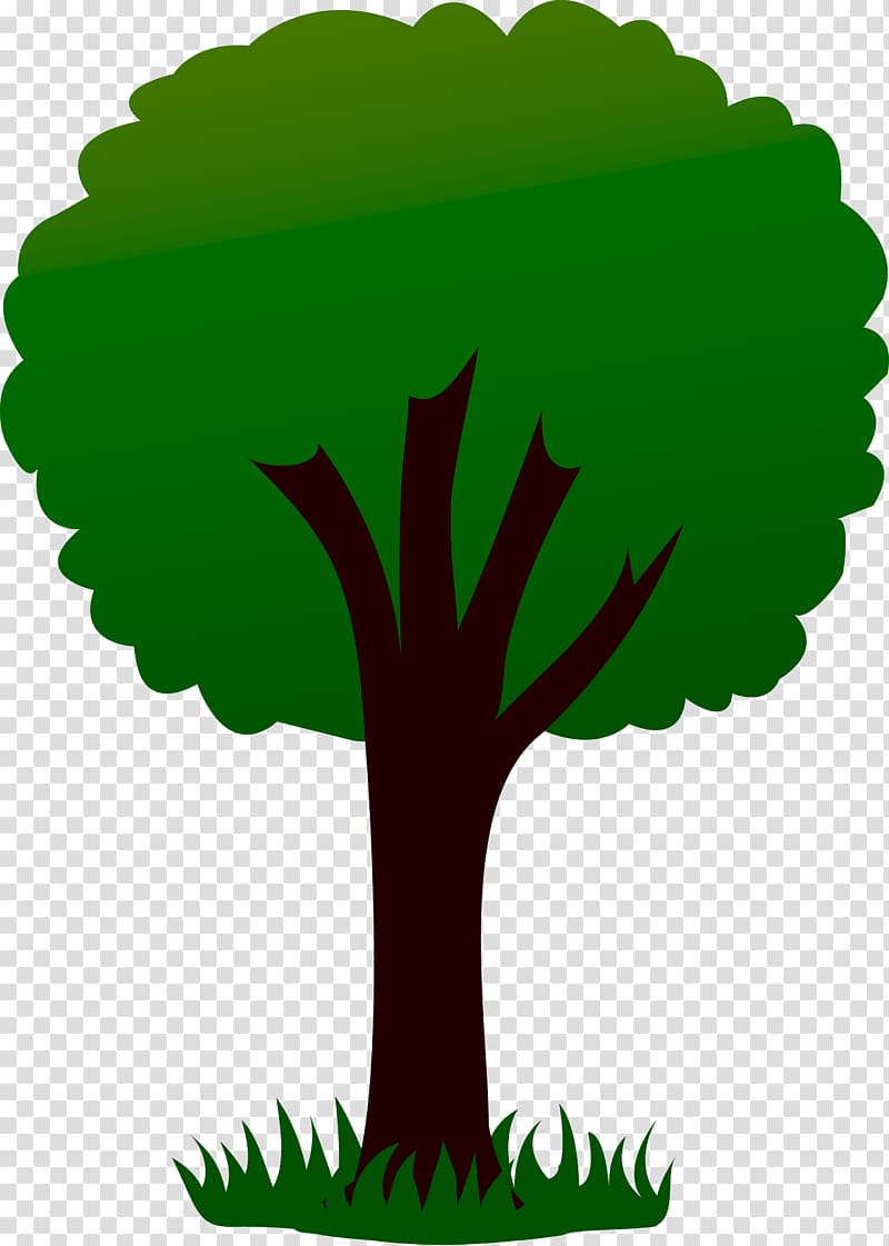 Tree farm , pine tree transparent background PNG clipart