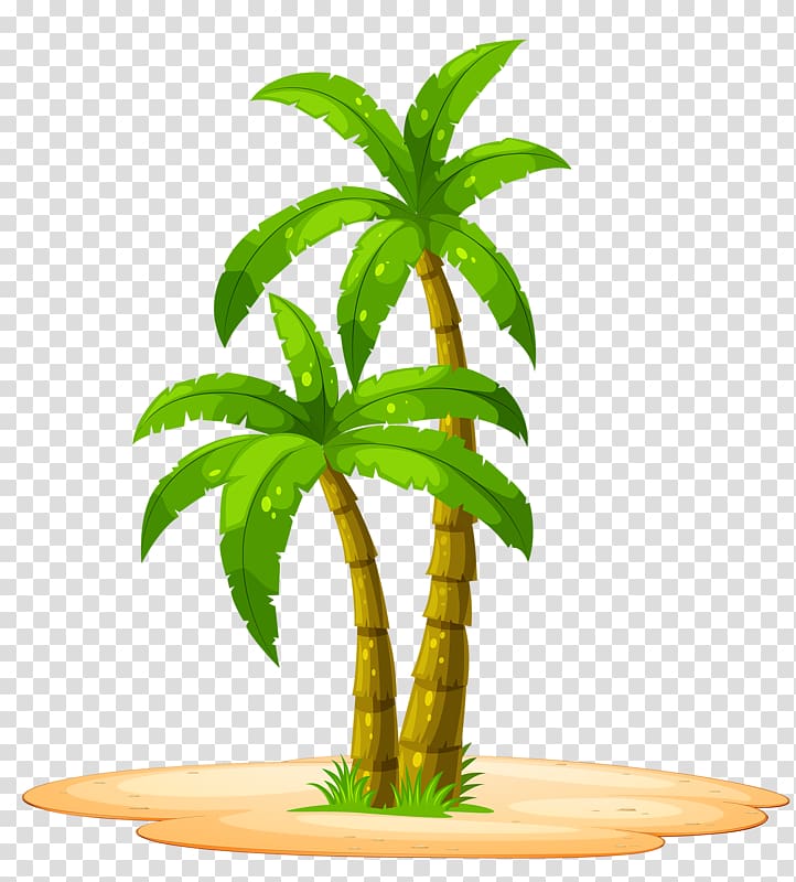 sanya coconut trees transparent background PNG clipart