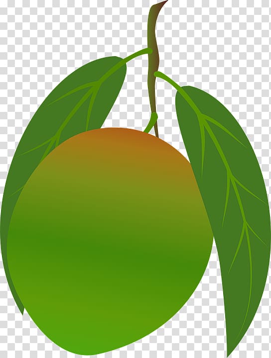 Vegetarian cuisine Mangifera indica Mango Portable Network Graphics , mango transparent background PNG clipart