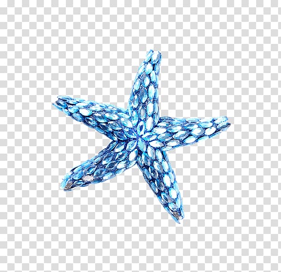 Starfish Blue Computer file, Blue starfish transparent background PNG clipart