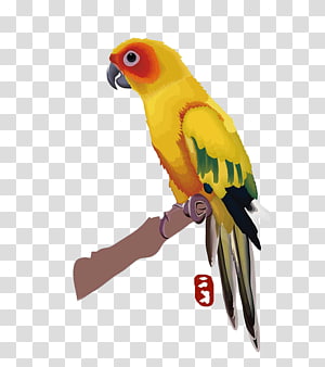 Budgerigar Parrot Lovebird Macaw, Hand-painted parrot transparent background PNG clipart thumbnail