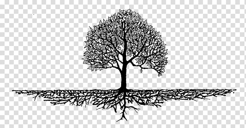 Root Tree of life Branch Landscaping, tree transparent background PNG clipart