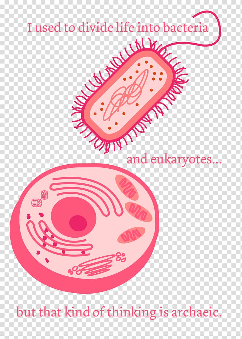 Pun Science Bacteria Microorganism, science transparent background PNG clipart