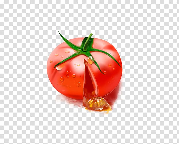 Plum tomato , tomato transparent background PNG clipart
