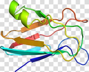 Line Point Organism , line transparent background PNG clipart thumbnail