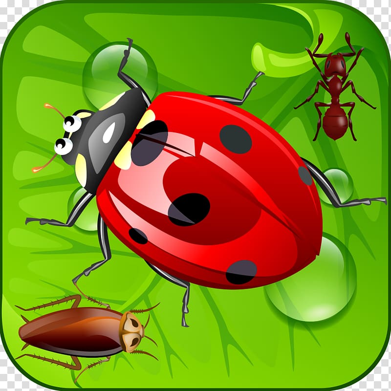 iPod touch App Store Beetle iTunes, ant transparent background PNG clipart