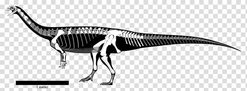 Yunnanosaurus Lufengosaurus Sinosaurus Anchisaurus Aardonyx, Reconstruction transparent background PNG clipart