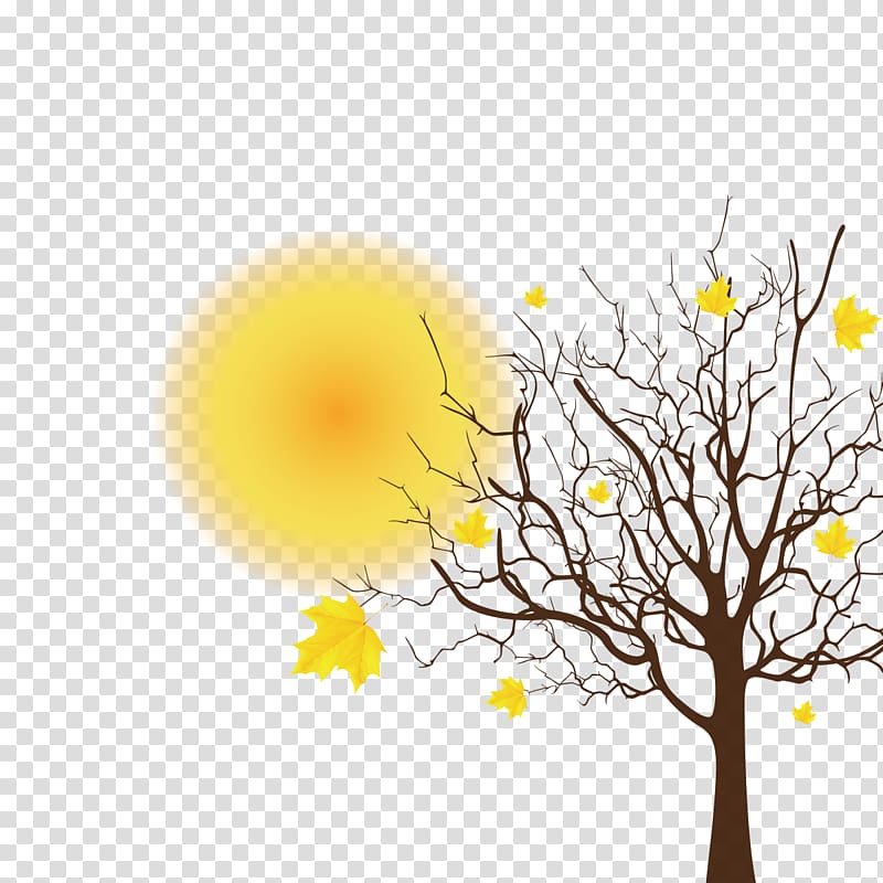 Tree Spring , autumn leaves transparent background PNG clipart