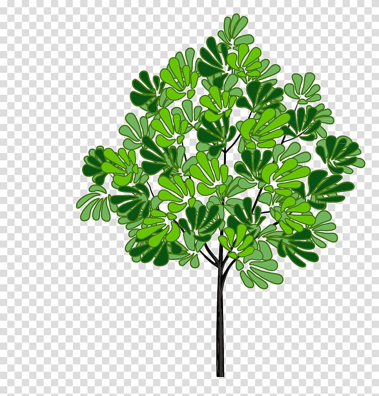 Tree , Spring Tree transparent background PNG clipart