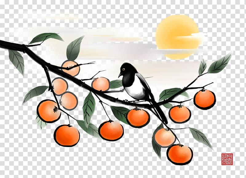 Fruit Japanese Persimmon Illustration, Ink persimmon tree transparent background PNG clipart