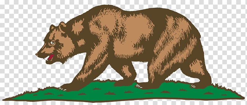 brown bear illustration, California Republic California grizzly bear Flag of California, bear transparent background PNG clipart