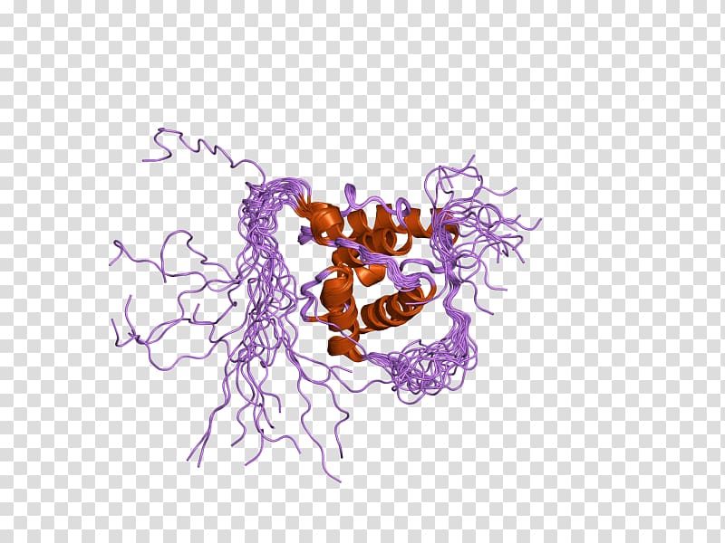 MAPRE3 Gene microtubule-associated protein, RP/EB family, member 3, others transparent background PNG clipart