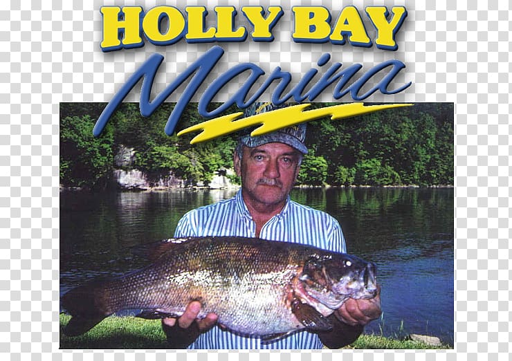 Laurel River Lake Holly Bay Marina Recreational fishing Bass fishing, others transparent background PNG clipart