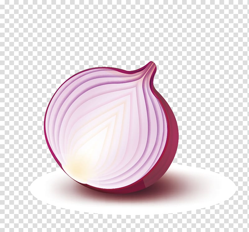 sliced onion illustration, Purple, Onion sectional view transparent background PNG clipart