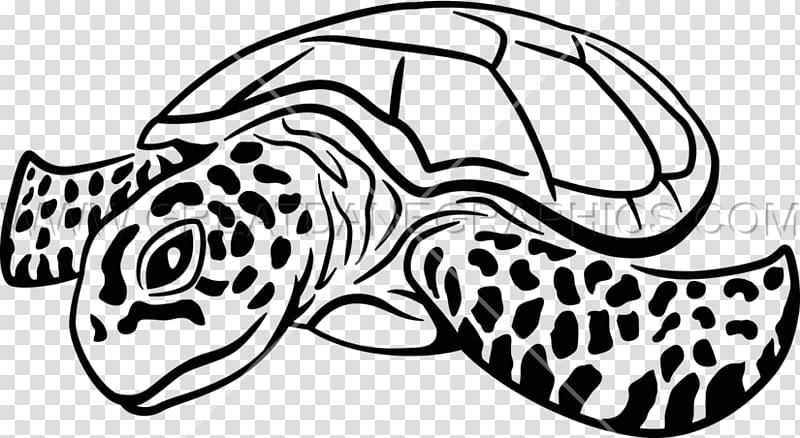 Sea turtle Drawing , sea turtles transparent background PNG clipart