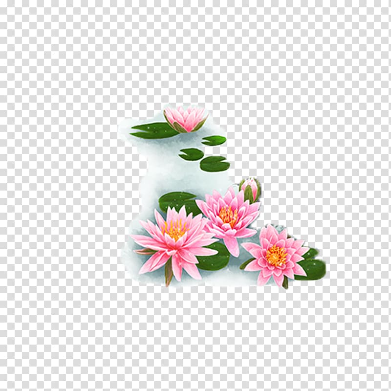 Qingming Nelumbo nucifera Pygmy water-lily Buddhist music, Water Lilies transparent background PNG clipart